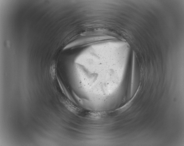 X0000068830190200605191908