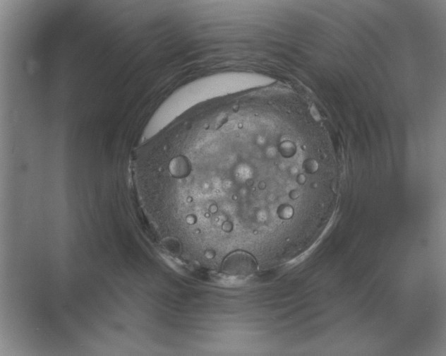 X0000068830191200605191908