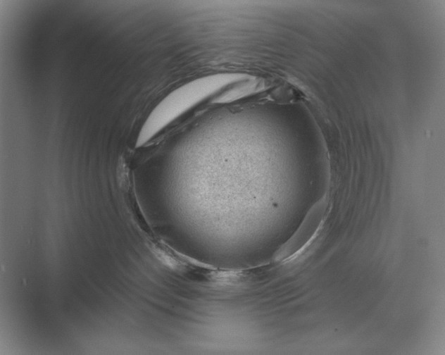 X0000068830192200605191908