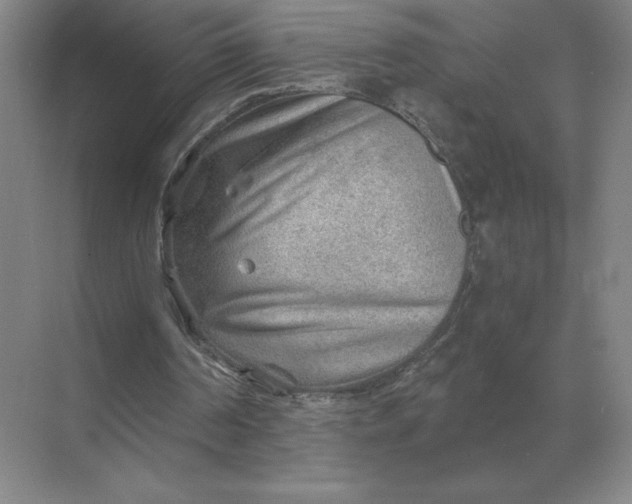 X0000068830194200605191908