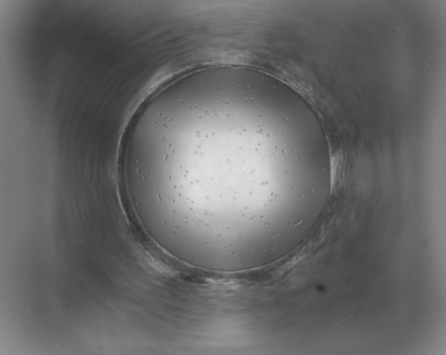 X0000068830195200605191908