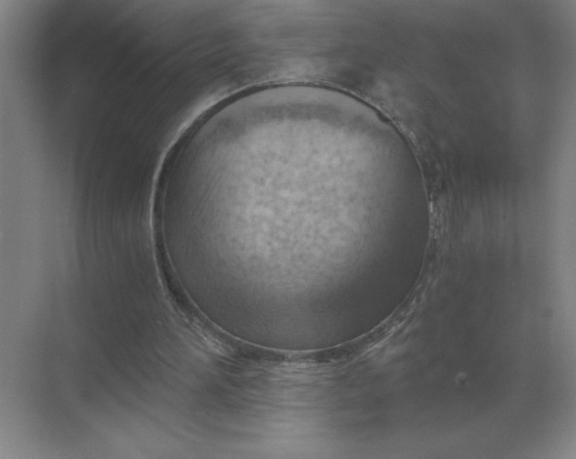 X0000068830196200605191908