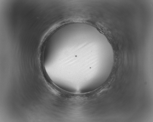 X0000068830197200605191908