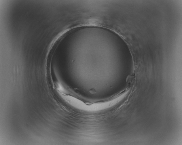 X0000068830200200605191907