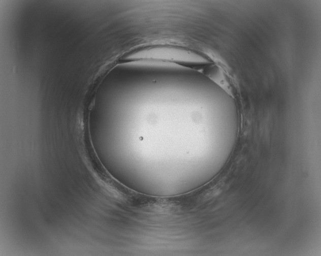 X0000068830201200605191907