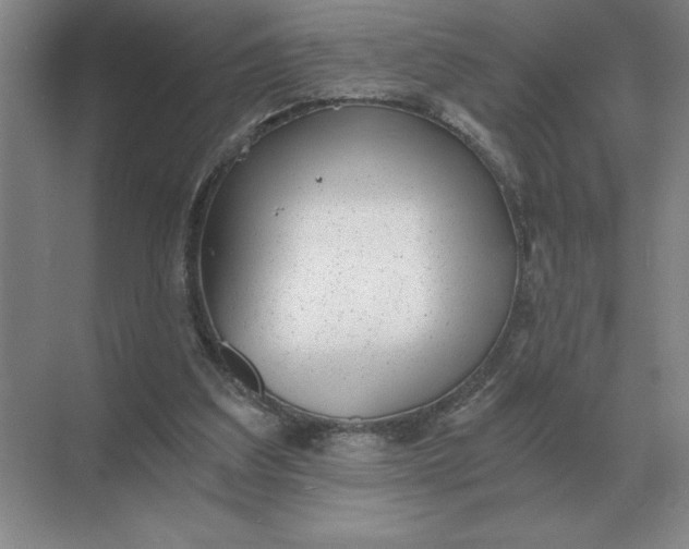 X0000068830203200605191907