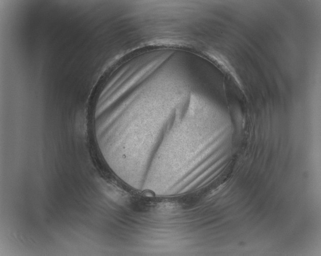 X0000068830204200605191907