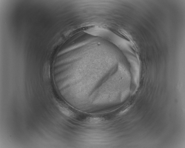 X0000068830205200605191907