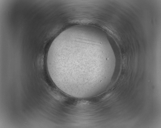 X0000068830206200605191907