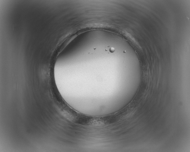 X0000068830207200605191907