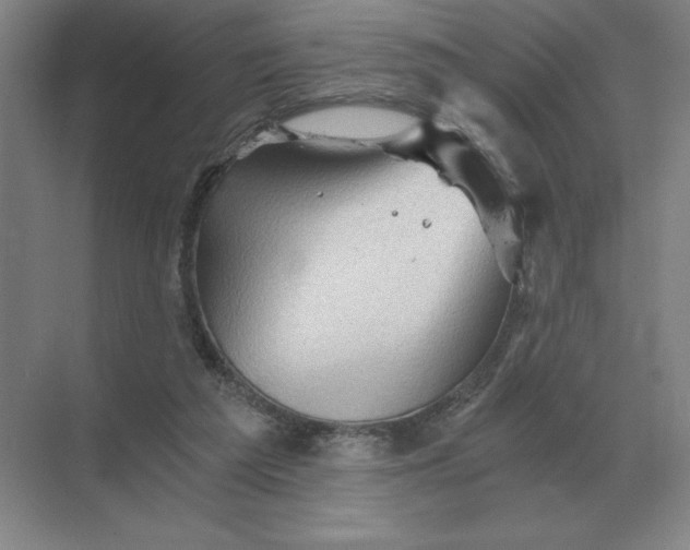 X0000068830209200605191907