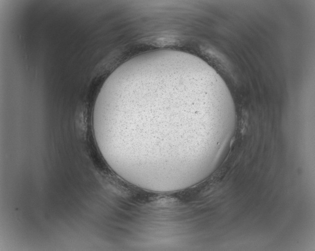 X0000068830210200605191907