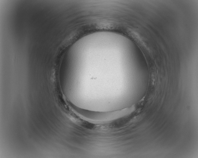 X0000068830211200605191907