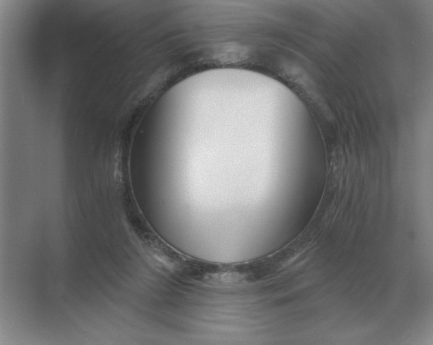 X0000068830212200605191907