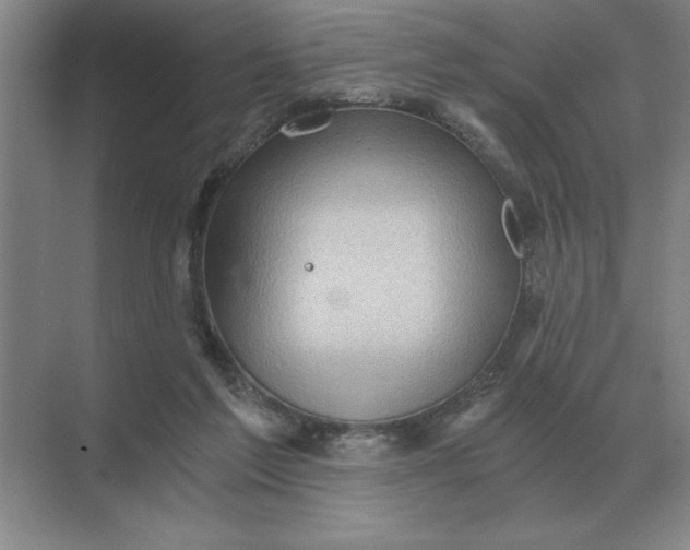 X0000068830213200605191907