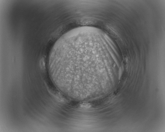 X0000068830214200605191907