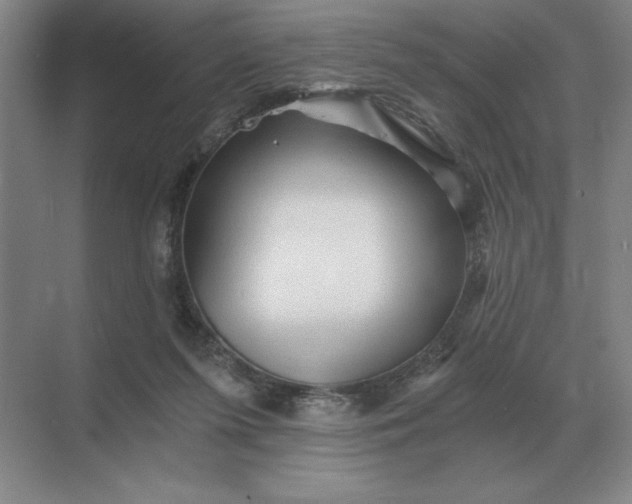 X0000068830215200605191907