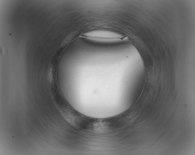 X0000068830216200605191907