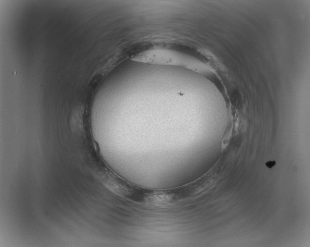 X0000068830217200605191907