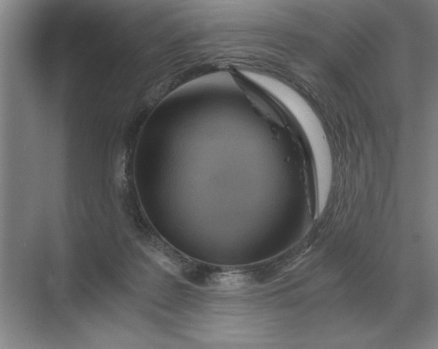 X0000068830219200605191907