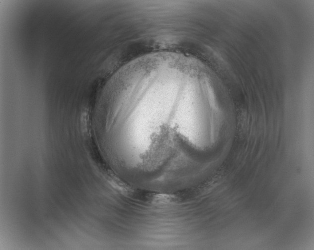 X0000068830222200605191907