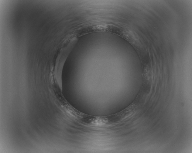 X0000068830223200605191907