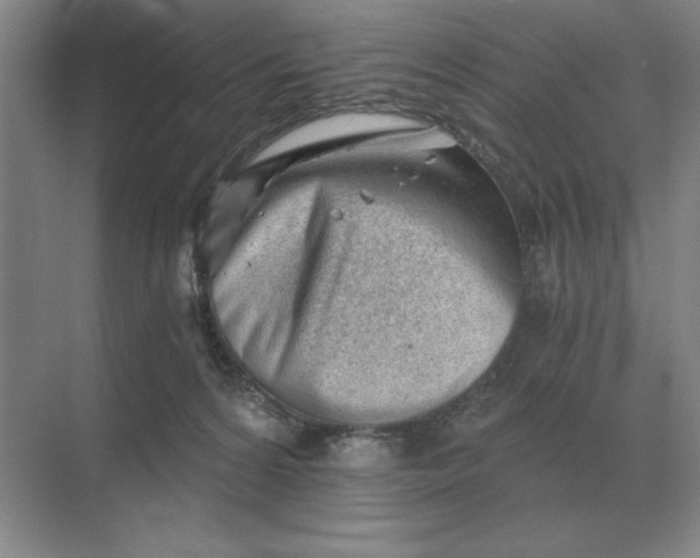 X0000068830224200605191907