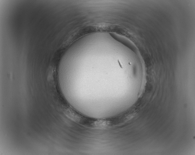 X0000068830225200605191907