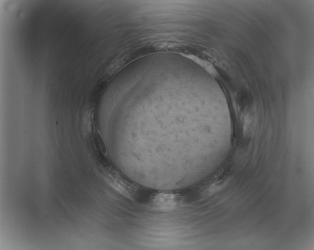 X0000068830227200605191907