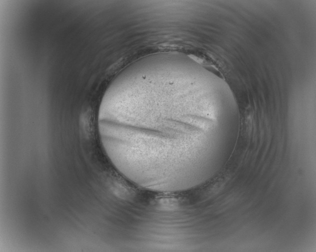 X0000068830228200605191907