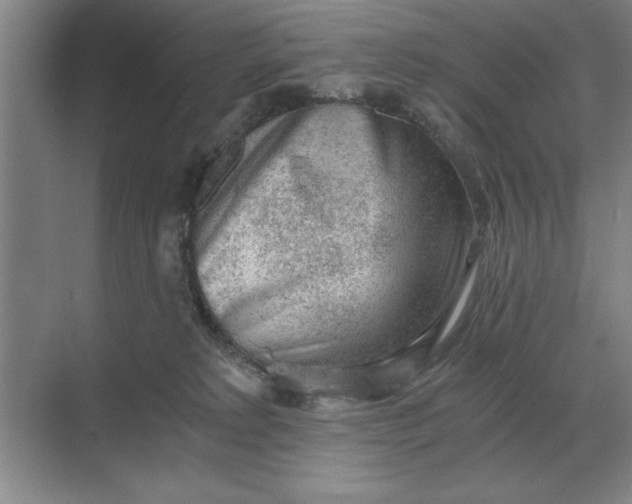 X0000068830229200605191907