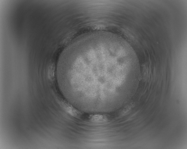 X0000068830230200605191907