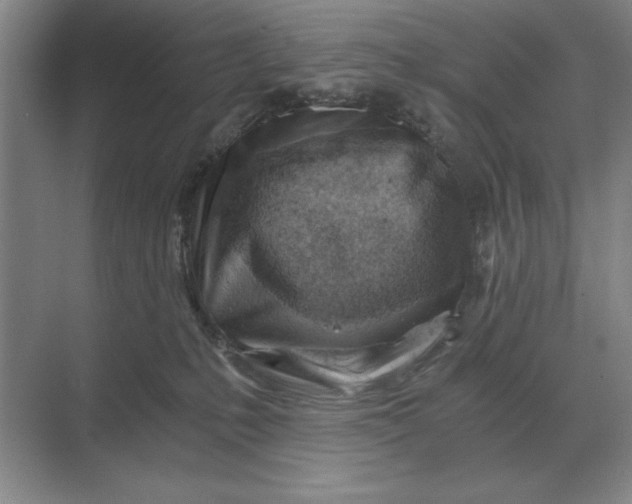 X0000068830231200605191907