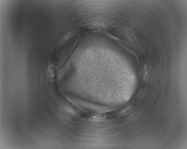 X0000068830232200605191907