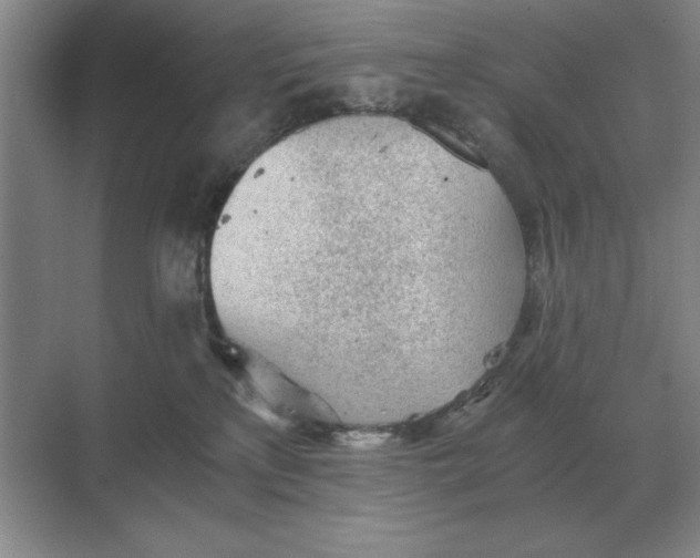 X0000068830233200605191907