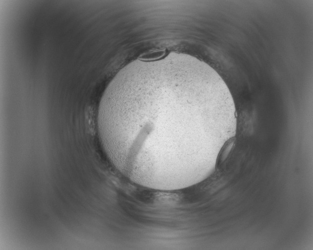 X0000068830234200605191907