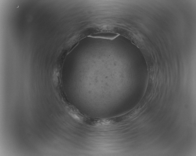 X0000068830235200605191907