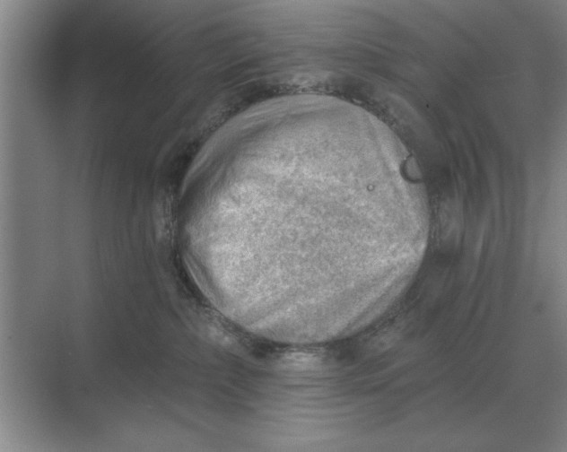 X0000068830236200605191907