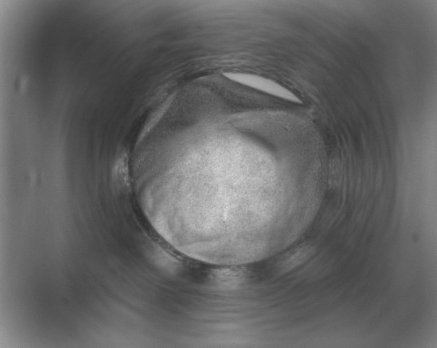 X0000068830238200605191907