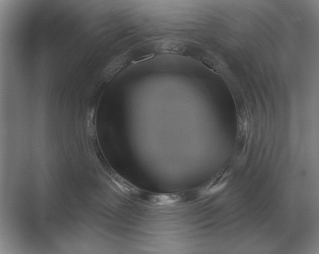 X0000068830239200605191907