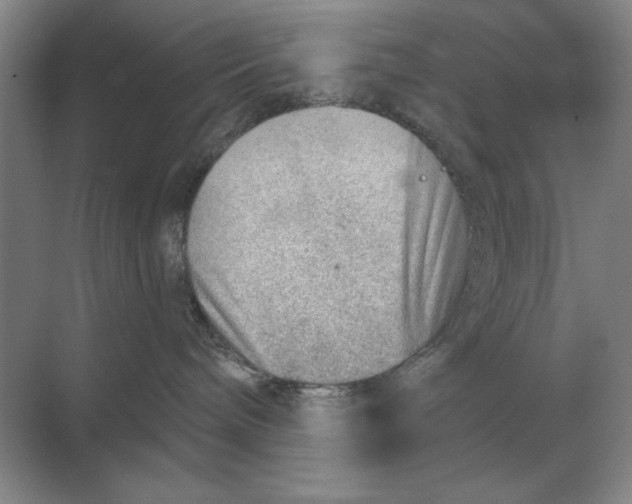 X0000068830240200605191907