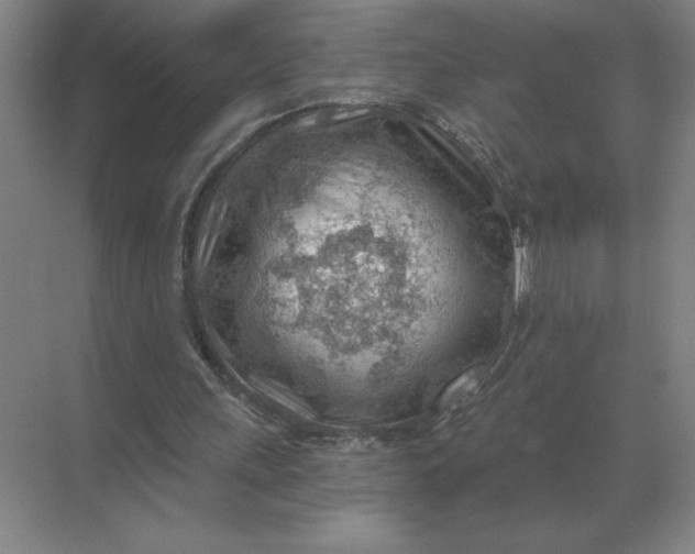 X0000068830243200605191906