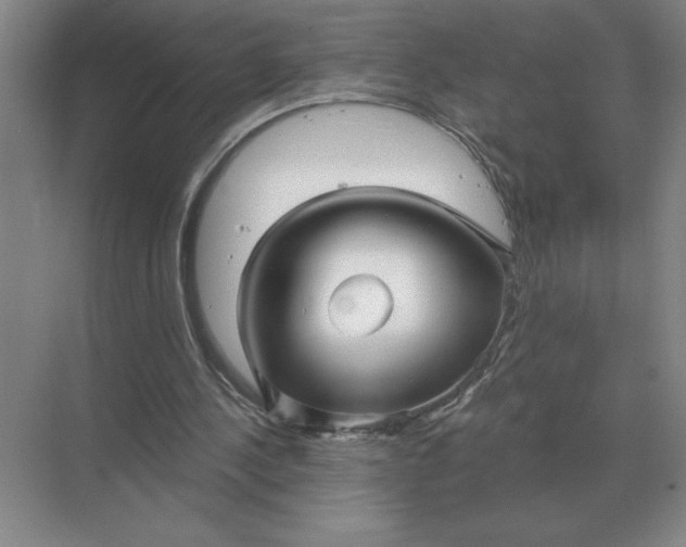 X0000068830244200605191906