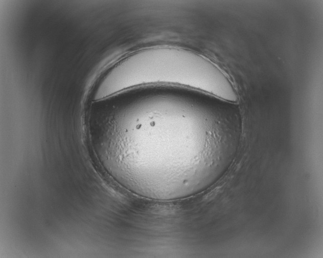 X0000068830245200605191906