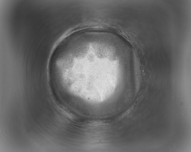 X0000068830246200605191906