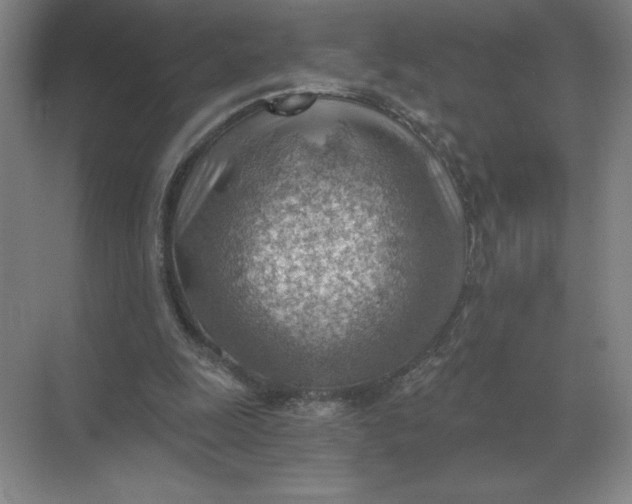 X0000068830247200605191906