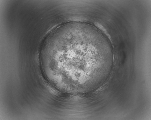 X0000068830249200605191906