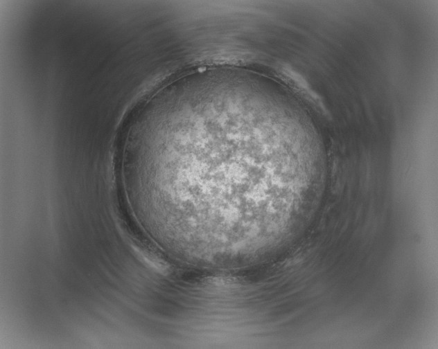 X0000068830250200605191906