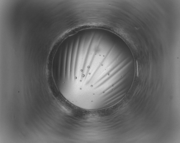 X0000068830252200605191906