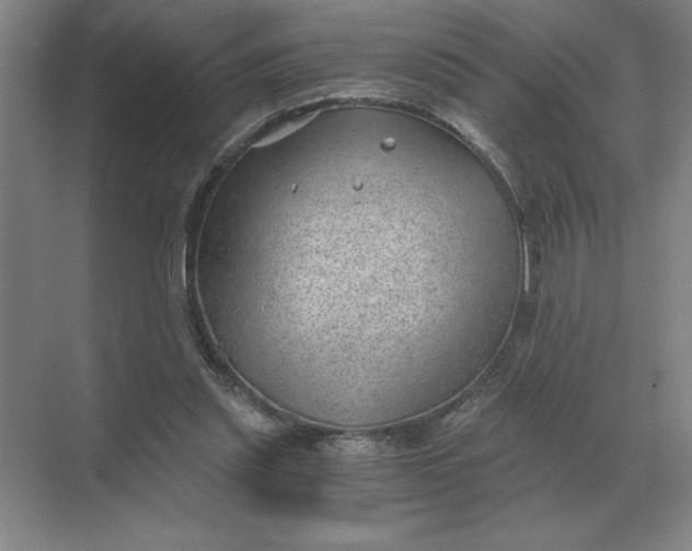 X0000068830253200605191906